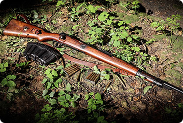A rifle resting on the forest floor, surrounded by trees and foliage.