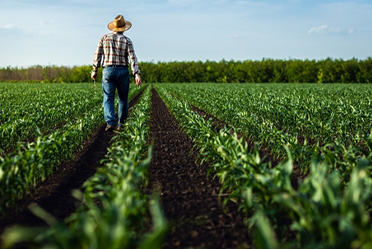 Right to Farm Laws and Protections Explained